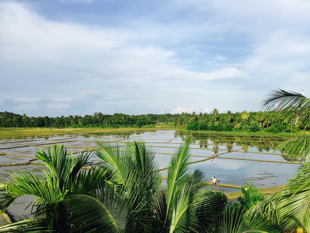 Rice Field View Home Stay Tangalle Zimmer foto