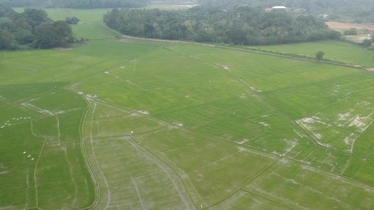 Rice Field View Home Stay Tangalle Exterior foto