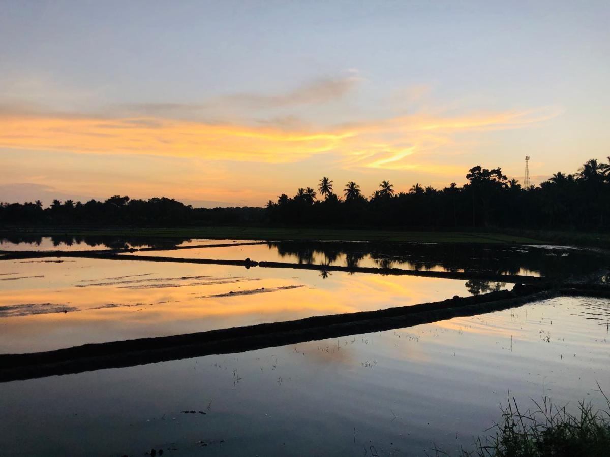 Rice Field View Home Stay Tangalle Exterior foto